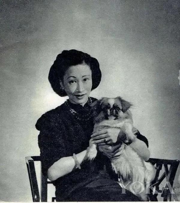 首富之女,毁于爱情