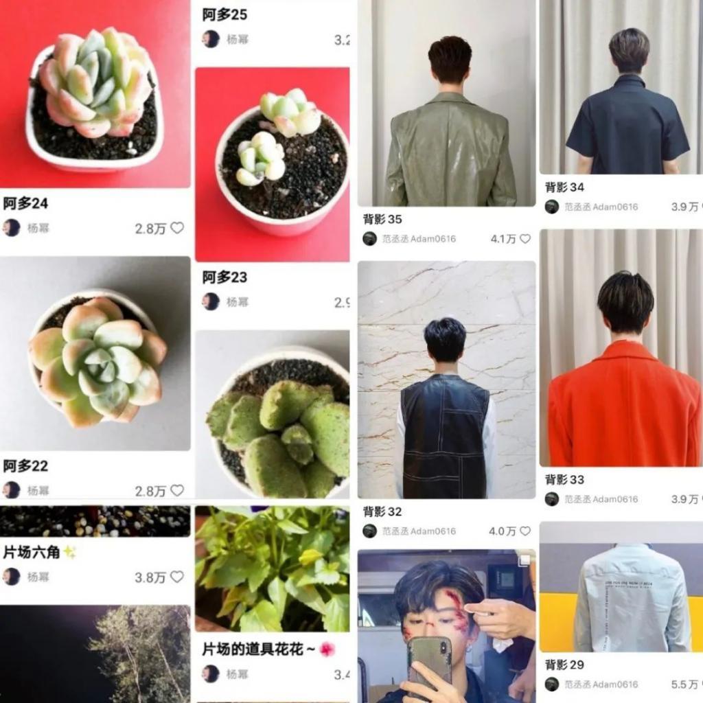 新浪绿洲，别给我发消息了行吗？