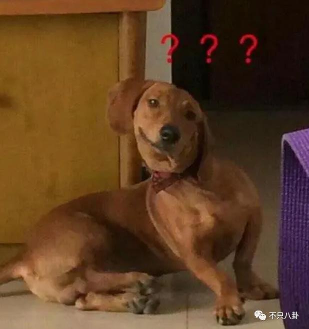 靠“擦边镜头”吸引观众，这骂挨得冤吗？