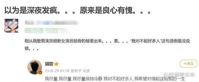 《伪装者》女主开撕胡歌！被撞断锁骨不让说，难忍被网暴十年