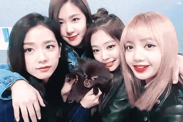 大瓜，四大顶流今日开撕？