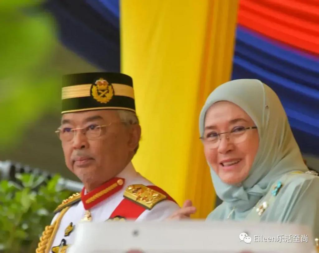 试管17次丈夫另娶？王后忍到贵妃失踪都经历了什么？