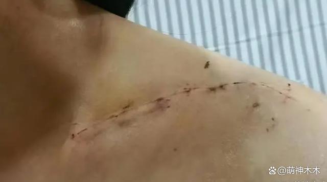 越演越烈！胡歌粉丝大骂王乐君，本人回怼内涵胡歌票房扑街