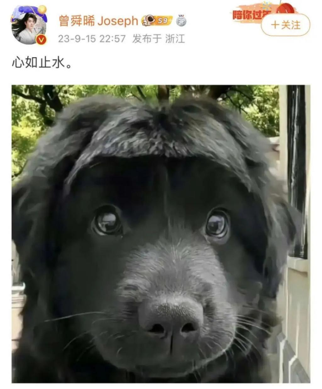 郭敬明到底崩没崩？