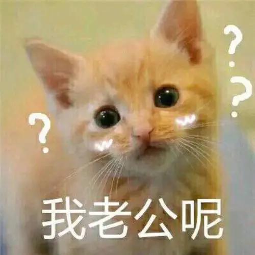 实力夺冠却靠脸成顶流！谁能想到是他笑到最后……