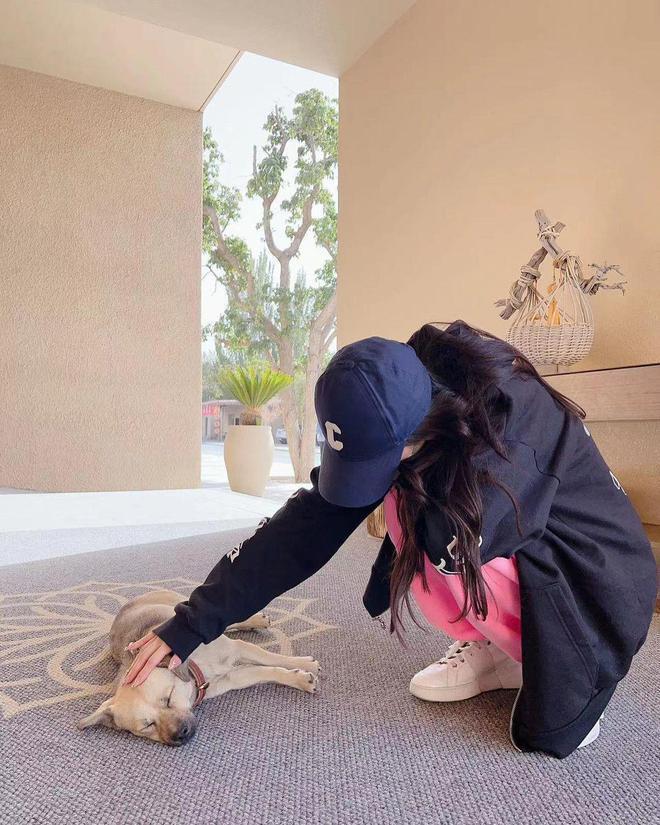 Angelababy罕晒母子合影，与爱犬同框引热议