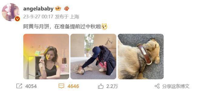 Angelababy罕晒母子合影，与爱犬同框引热议