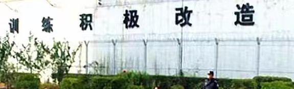 手腕又脏又狠，差点就被毁完了…