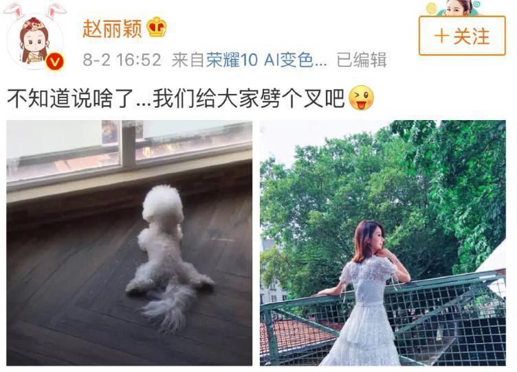 就那么爱盯着她肚子看？