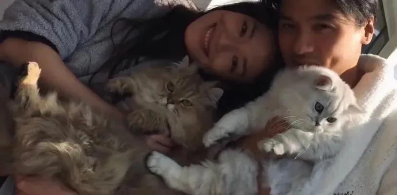 舒淇和冯德伦的婚姻，有点意思