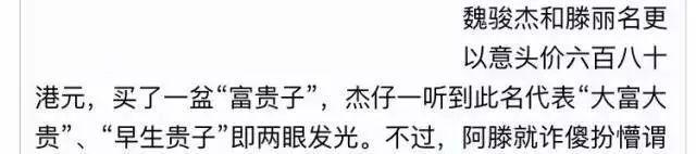 瘦了40斤还是胖若两人！渣男现世报还没看够呢