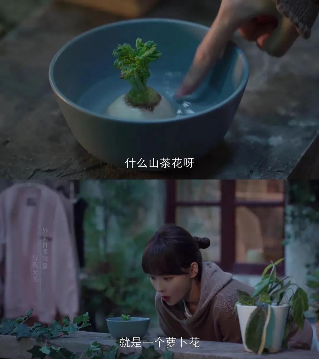 情敌变盟友，才是高段位撕渣
