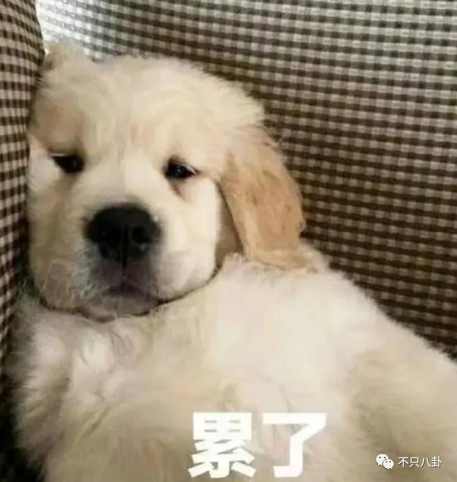 被骂戏太多？本想博同情没想到她又翻车了