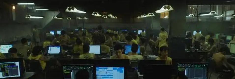 电影《孤注一掷》，怎么就火了？