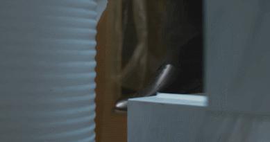 刺激啊！这国产悬疑杀我！