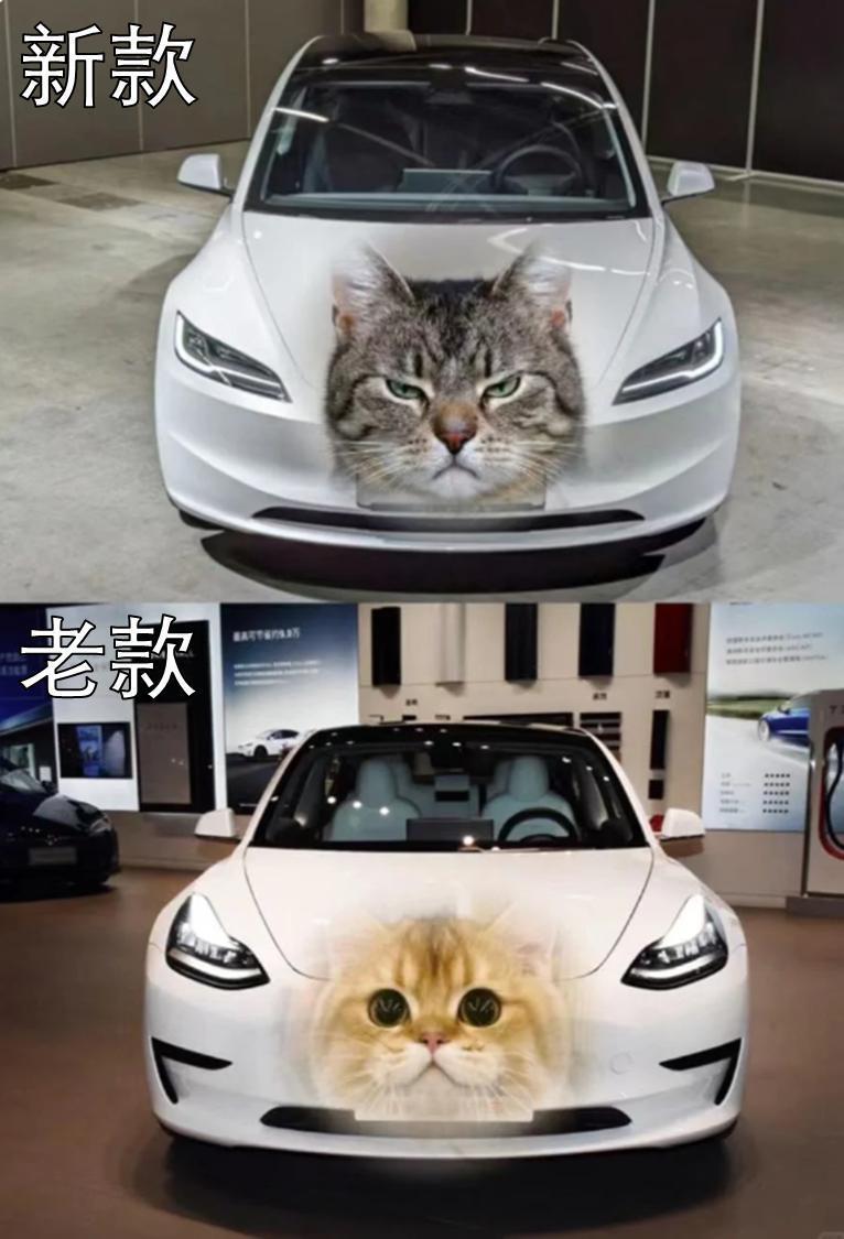 开上新款Model 3，我发现它也在迎合消费者