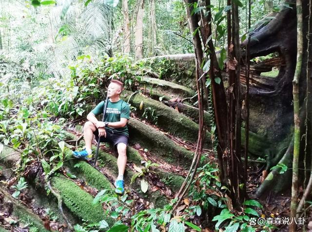 华人演员张咏华爬山时突发心脏病猝逝，生前曾患抑郁症