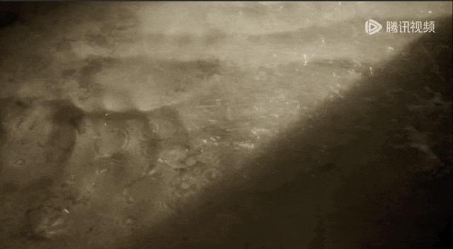 我等了四年的维密大秀，就这？