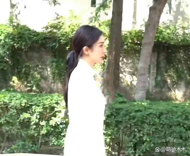 37岁杨幂穿衣风格大变，频繁蹭新中式热度，被嘲没气质仪态差