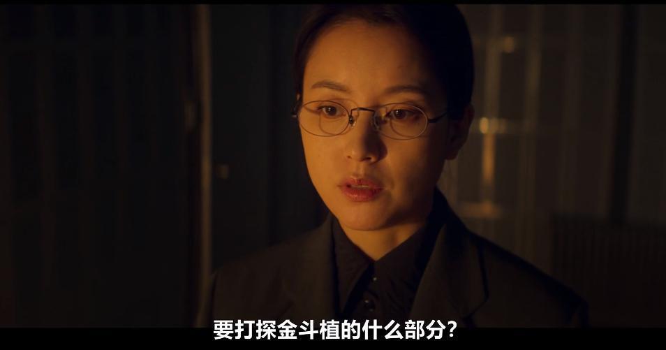 他俩谈恋爱，CP粉过年了