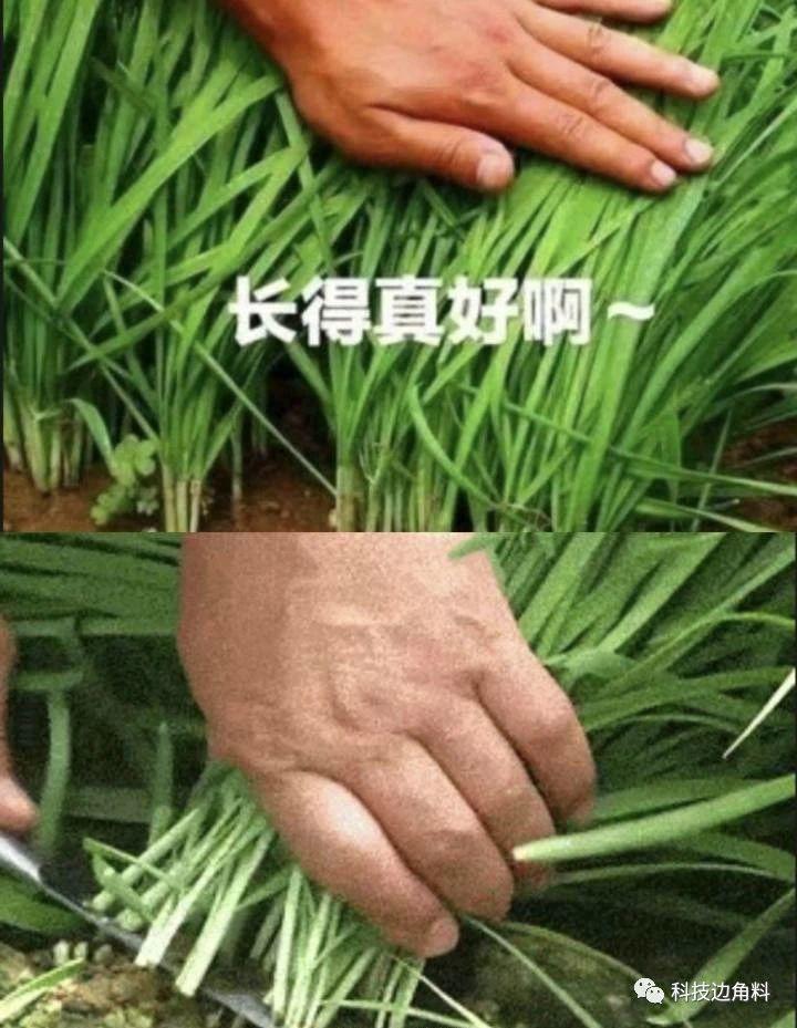 花西子想卖高价​​了？俺们百姓虽穷，但不傻