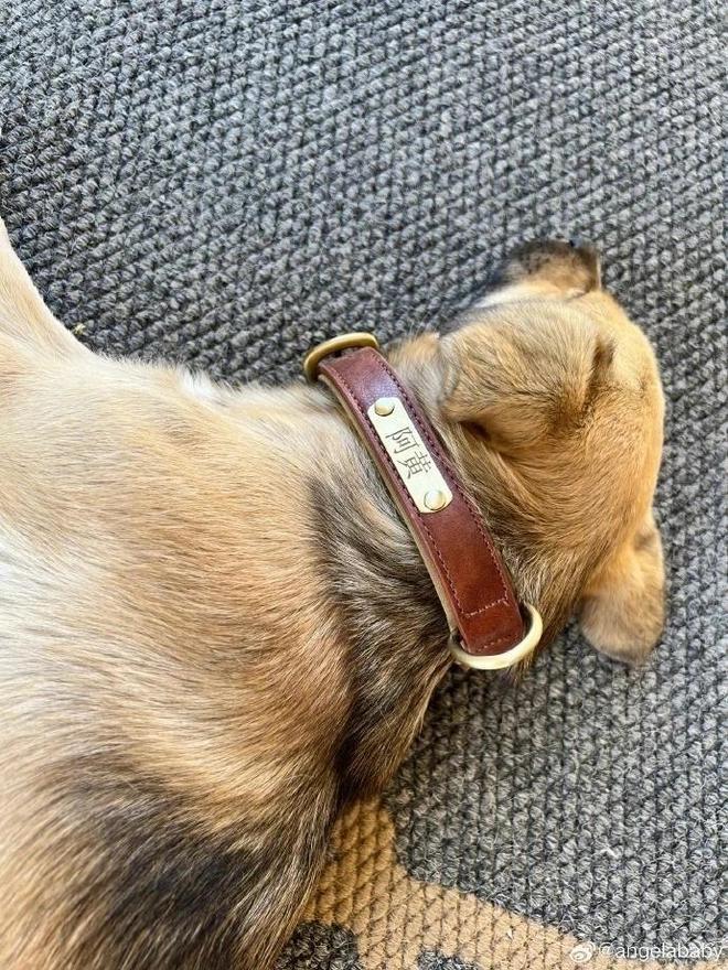 表态依旧是亲人后，黄晓明baby同时送中秋祝福，专注事业受期待