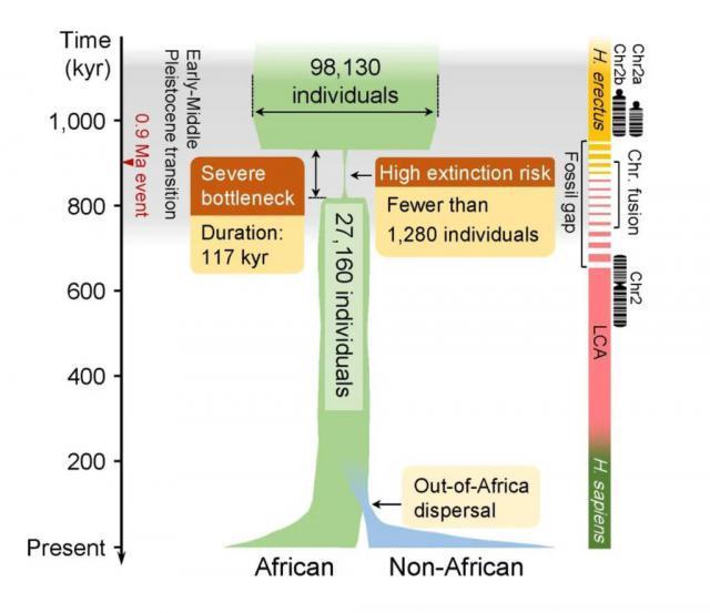 研究称人类祖先 90 万年前遭受浩劫，98.7% 的人因极端天气死亡