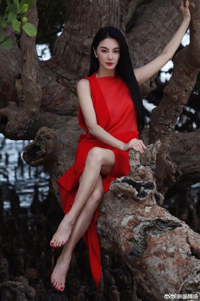 又换新男友？张雨绮与一男子多次被拍到同回家中疑似同居