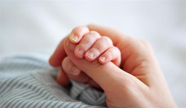 All in BC电池，隆基要为电池技术路线之争画上“句号”