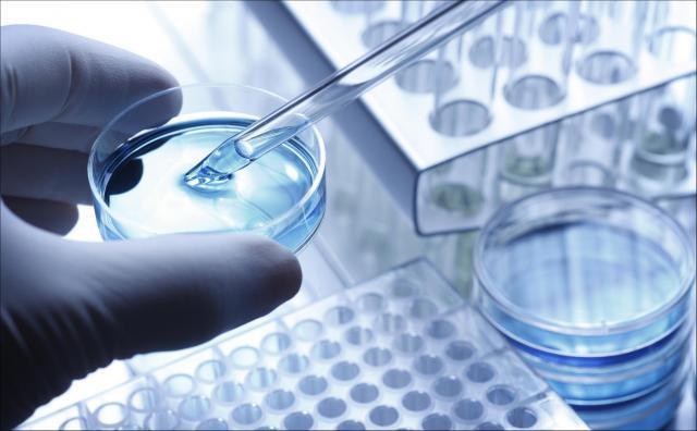 进击的EGFR/c-MET双抗，肺癌的下一个必争之地