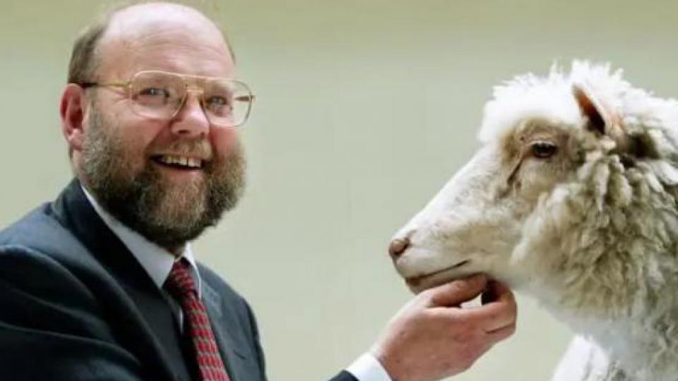 英国知名科学家去世，曾培育世界第一只克隆羊