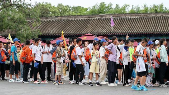 迷失在直播间的旅行社：都知道不赚钱，不做又不行