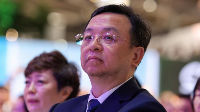 无需制裁，国产车在德国也卖不好？