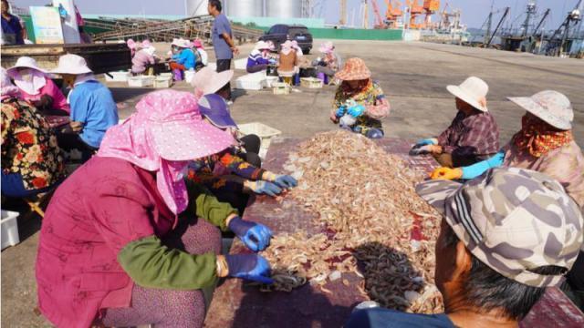 日本强排核污水20天后，有渔民为生计发愁