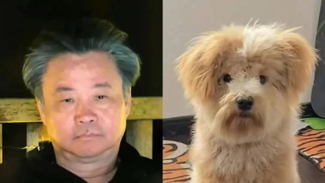 好久不见余华！他承认自己是潦草小狗了？