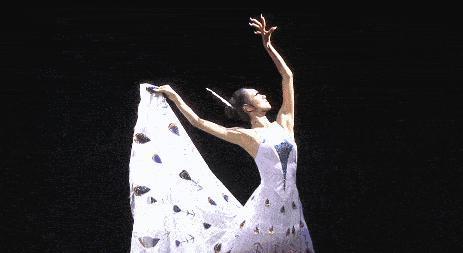 杨丽萍怎么落到这步田地