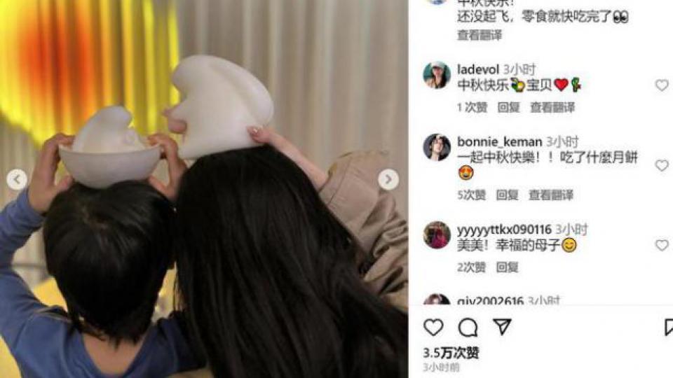 Angelababy罕晒母子合影，与爱犬同框引热议