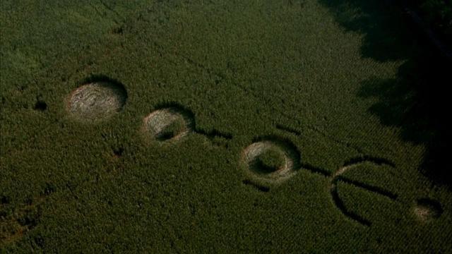9月最大黑马，全程高能，太吓人了