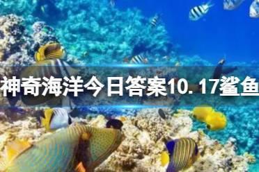 背上拥有星星的鲨鱼叫什么 神奇海洋今日答案10.17鲨鱼最新