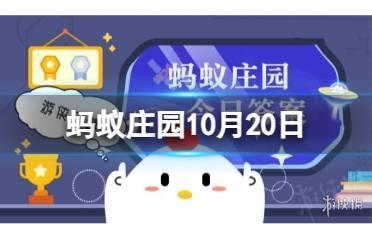 小鸡宝宝考考你:人们常吃的土豆是植物的哪部分