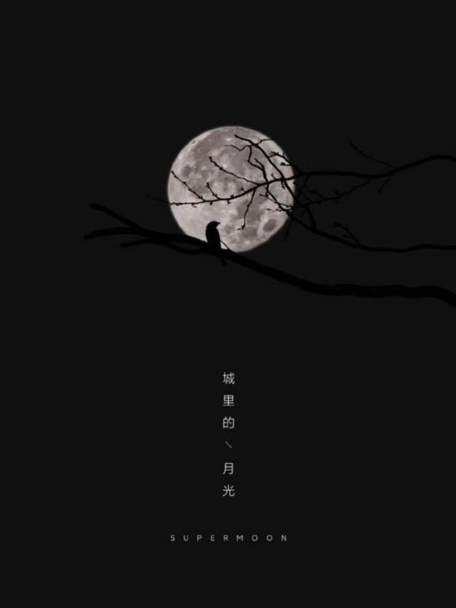 十一出游手机影像技巧分享！一键小白变大师