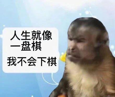你会花8000买迪士尼玩偶吗？