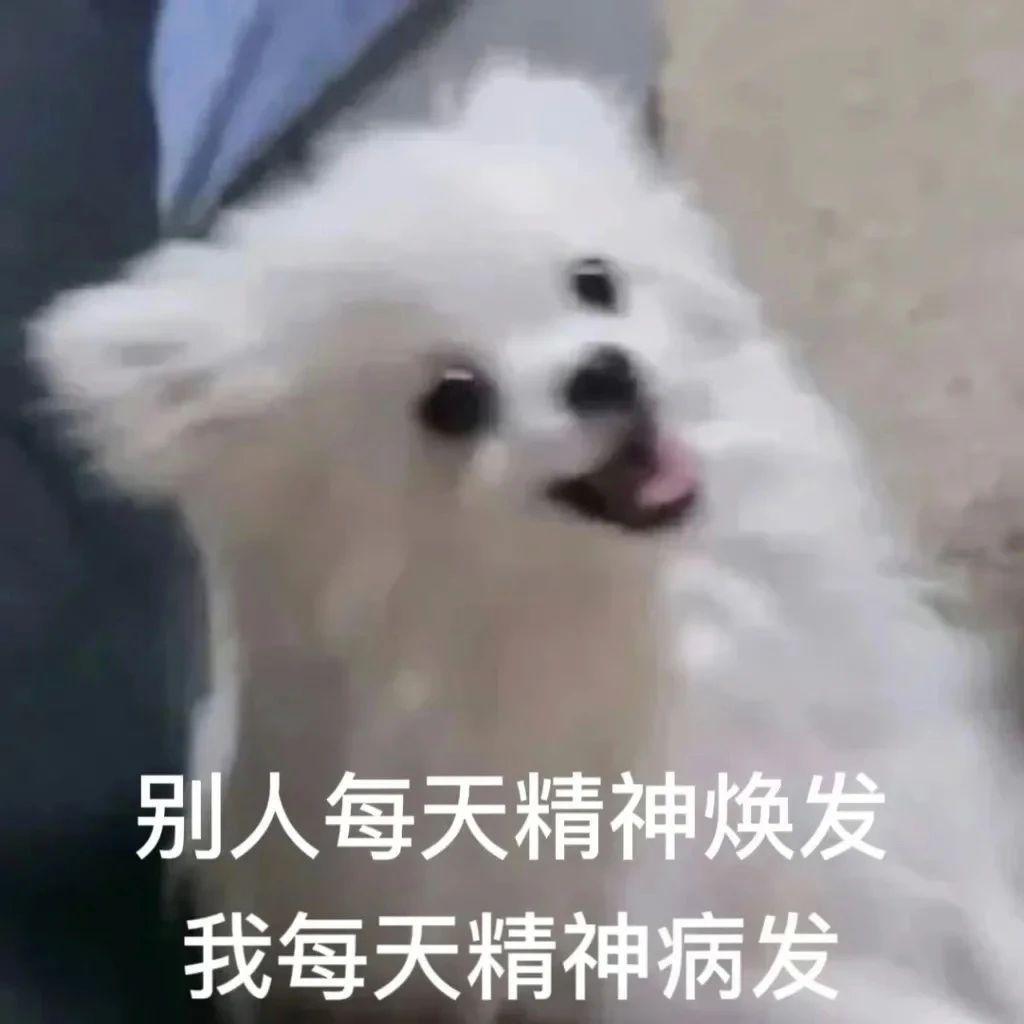 你会花8000买迪士尼玩偶吗？