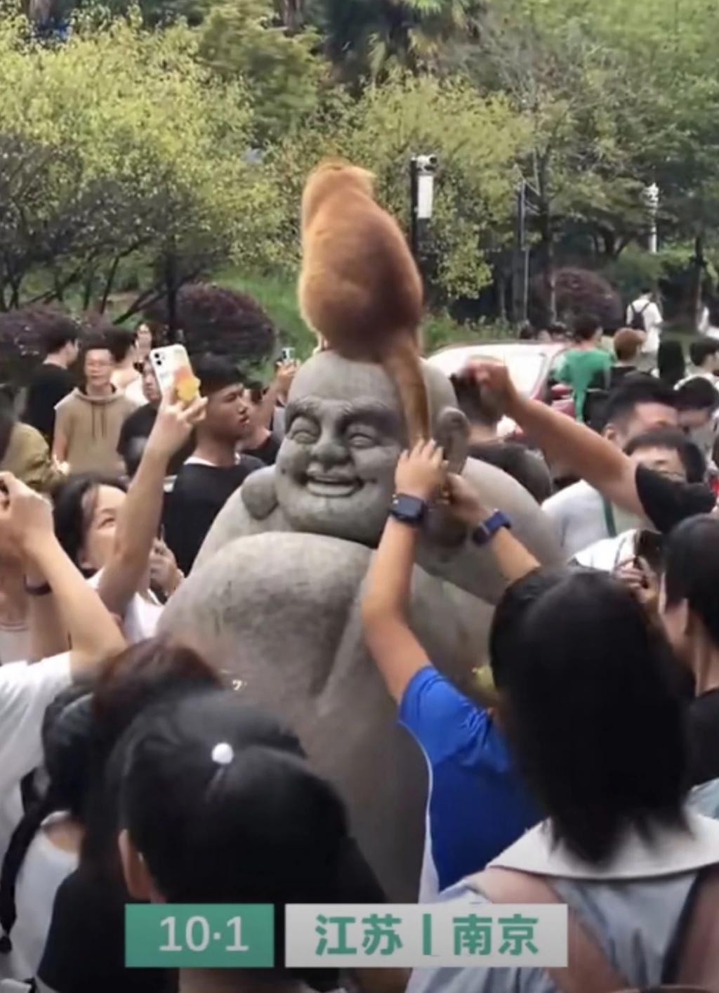 你会花8000买迪士尼玩偶吗？