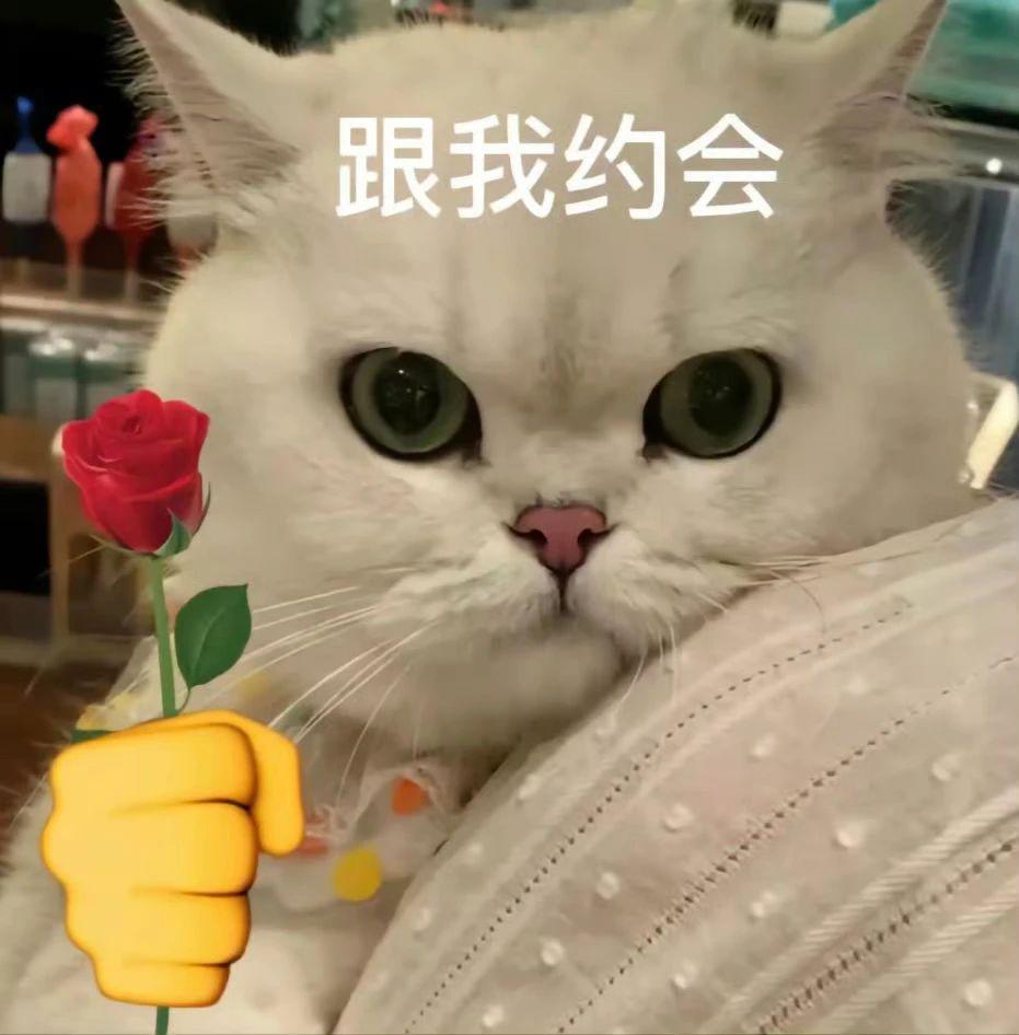 你会花8000买迪士尼玩偶吗？