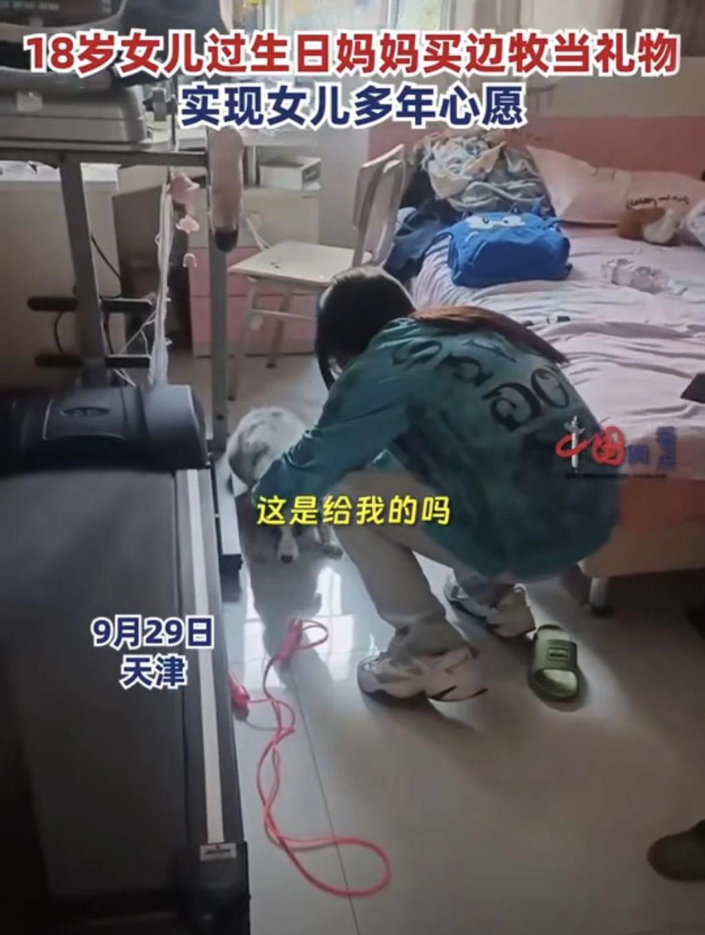 你会花8000买迪士尼玩偶吗？