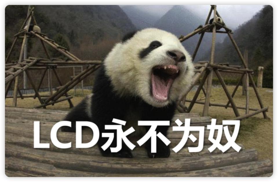 性价比最高的 iPhone，要来了！
