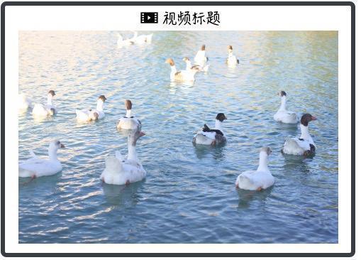 ChatGPT发人声、Meta要出个性化聊天机器人，AI会“深刻改变”社交网络吗？