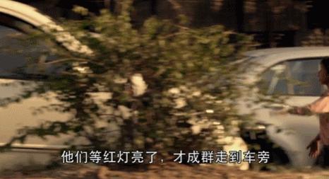 快去看，这才是国庆档必刷的一部片！