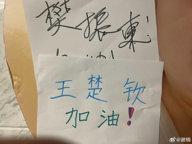 家有迷弟！谢楠两个儿子追看亚运 戴发带画画为王楚钦应援